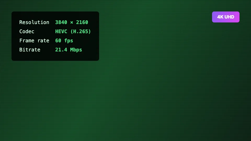 Playback info overlay reporting 3840 × 2160, HEVC and 60fps